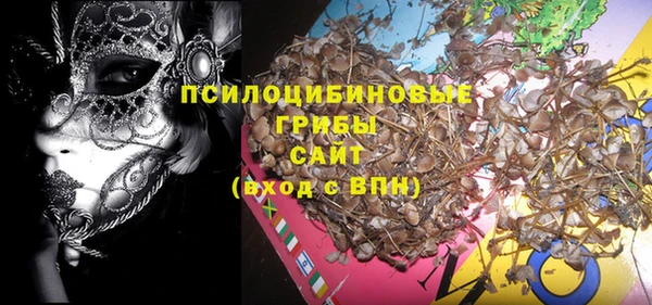 стаф Горно-Алтайск