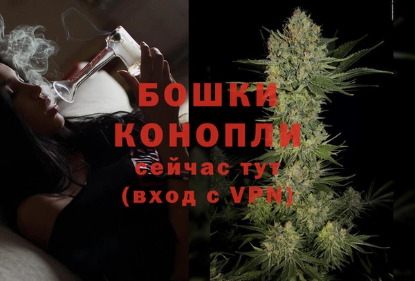 стаф Горно-Алтайск
