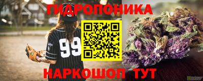 бошки Аргун