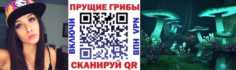 Псилоцибиновые грибы Psilocybine cubensis  Назарово 